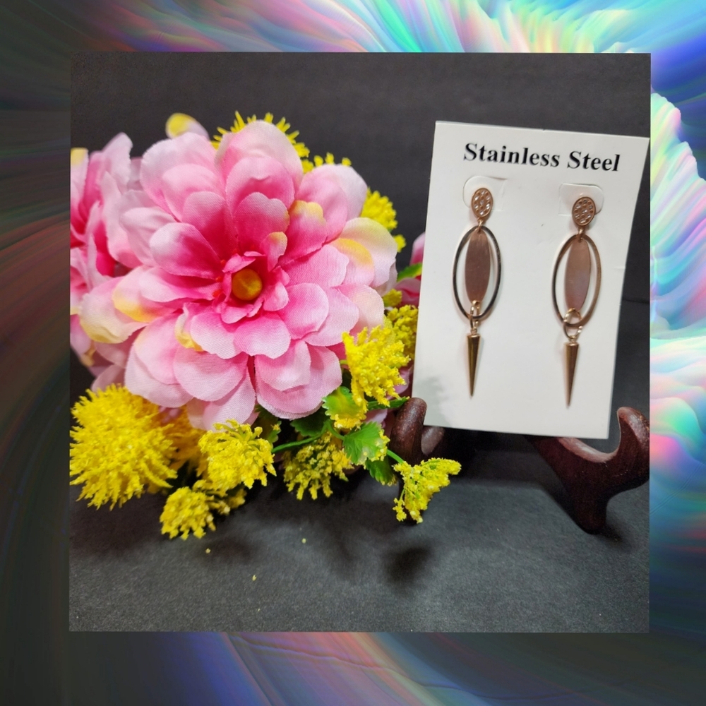 Stainless steel earrings